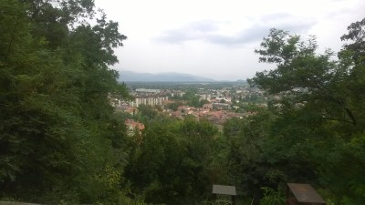 vyhled